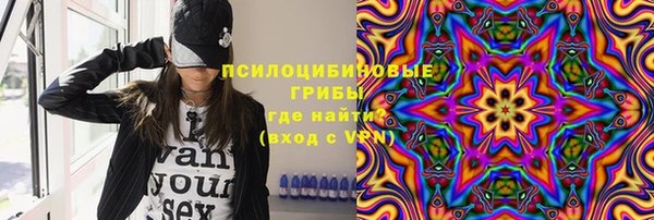 ПСИЛОЦИБИНОВЫЕ ГРИБЫ Верхнеуральск