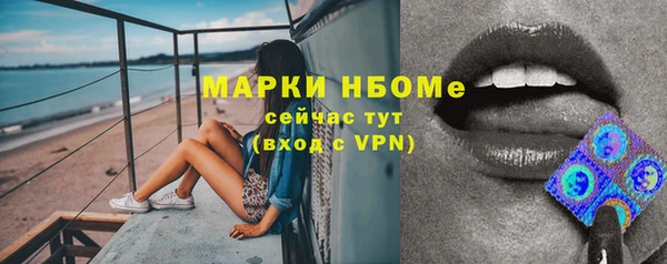 гидра Володарск
