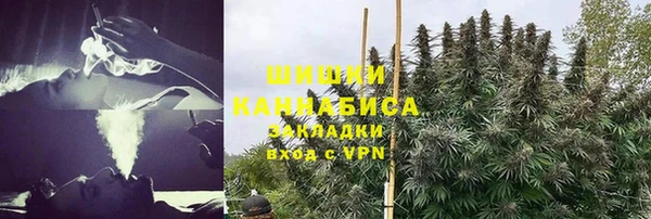 ПСИЛОЦИБИНОВЫЕ ГРИБЫ Верхнеуральск