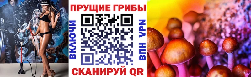 kraken вход  купить   Зея  Галлюциногенные грибы мухоморы 